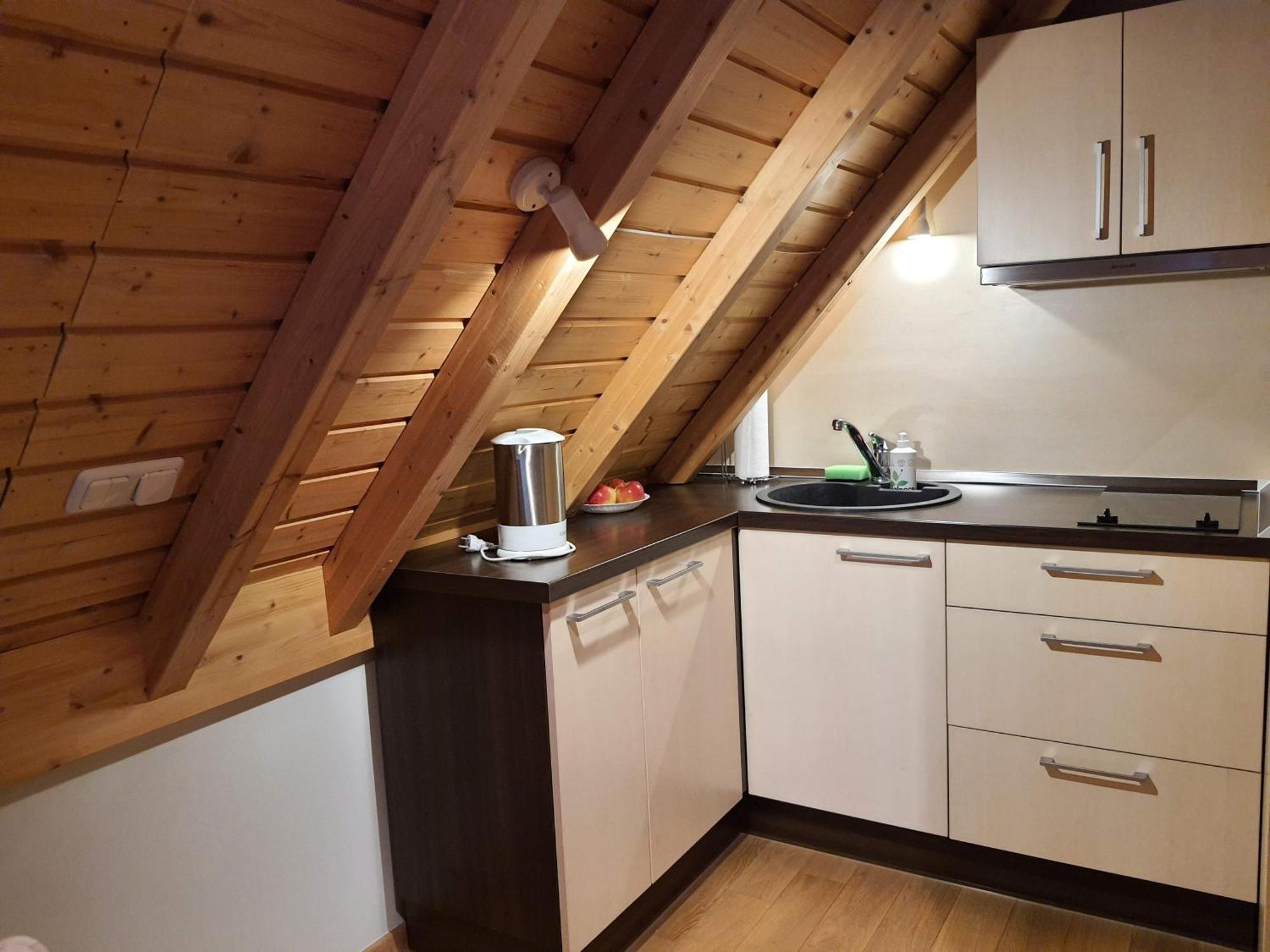 Apartamentai Hunter House Друскининкай Номер фото